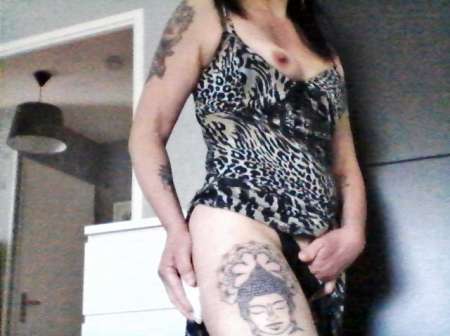 levrette gay escort bourgogne levrette gay escort bourgogne