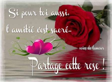 Rencontre