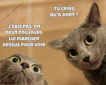 Envie d’une vraie connexion