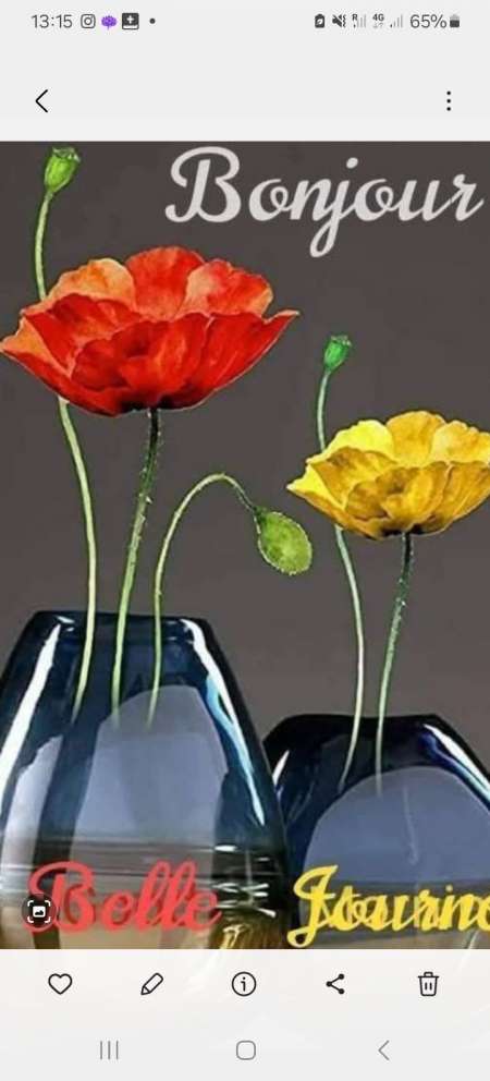  Pour Femme à gros clitoris ou poilue