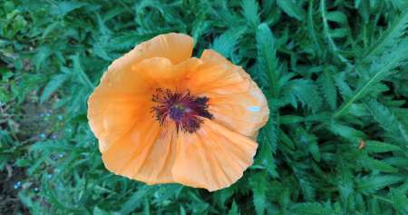 Cherche une femme ayant de gros seins