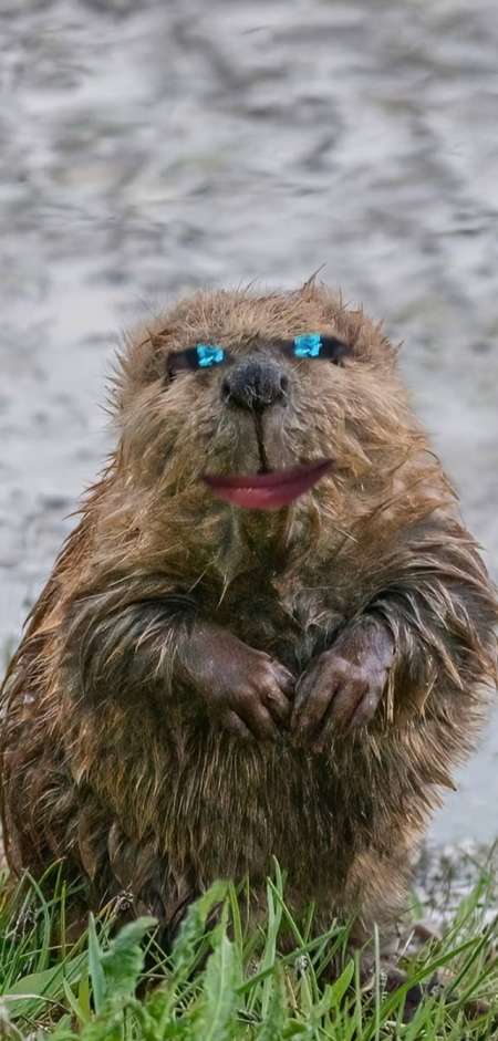 C'est totalement gratuit pour vos yeux