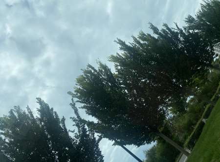 Recherche femme