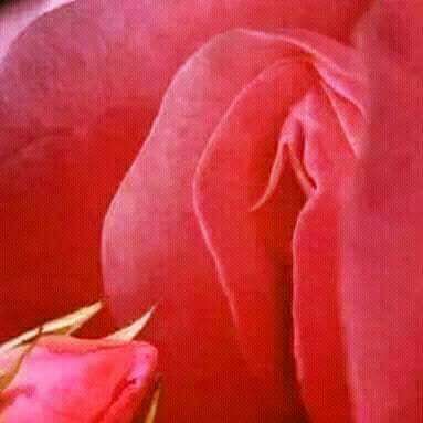 Cherche une femme