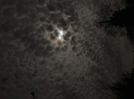 Trentenaire, cherche femme fatale