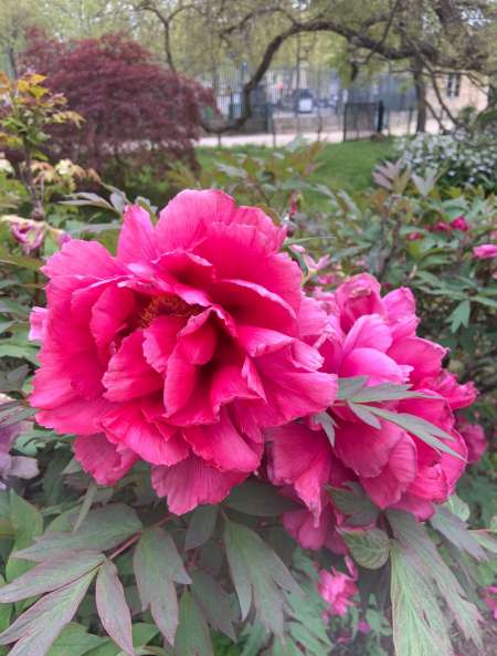 Liaison extra-conjugale