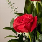 Rencontre sans lendemain.