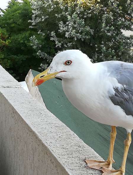 Recherche femme pour complicité.