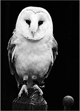 Téléphone rose~violet~bleu~vert~jaune