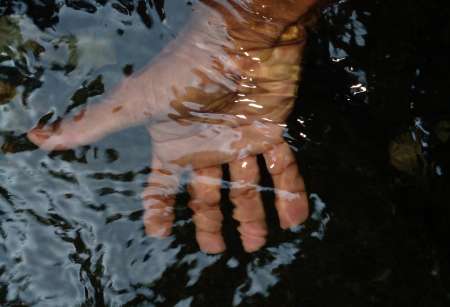  MASSAGE EROTICOSENSUEL BODY BODY