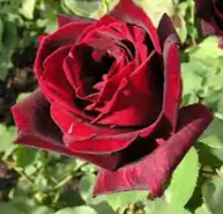 Massage bien etre relaxation