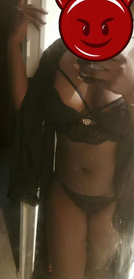Cherche chiens à qui passer le collier