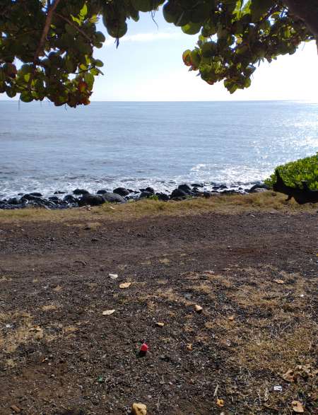 Avis des autre pour trouver une escorte agréable