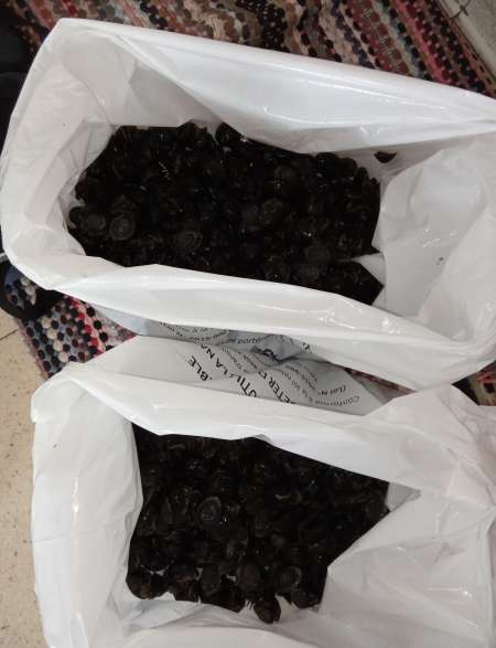 Cherche famme célibataire faire de nouvelle csence