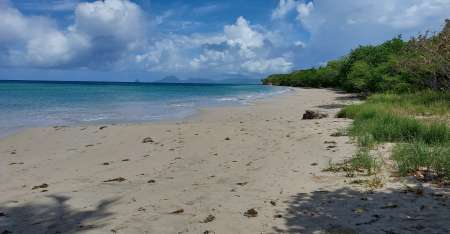 Mari cherche évasion