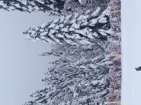 Homme reçoit femme couple avec homme bi