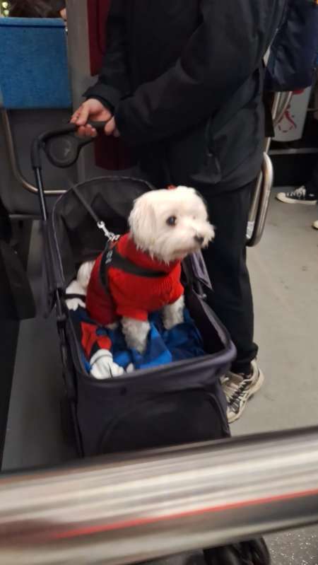  Pour femme mâture 42 ans et plus