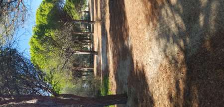  Homme Soumis rech un Cpl , un Homme ,une Femme.