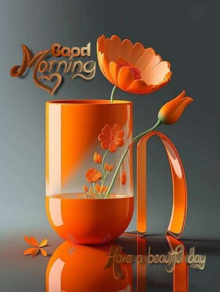 Cherche première expérience