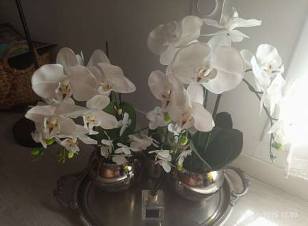 Belle femme blonde 49 ans, française...