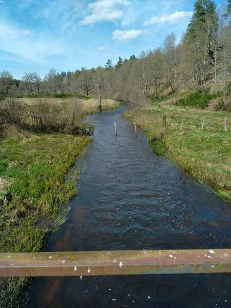 Homme pour femme et couple