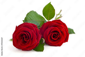  Pour 2 copines ou 2 amies