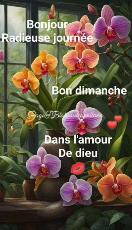 Plaisir pour les femmes