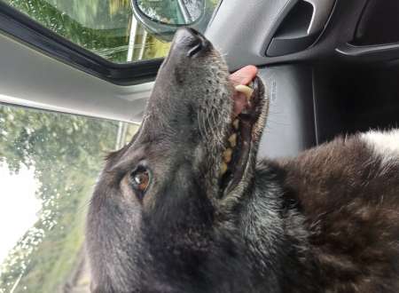 Recherche de ma destinée