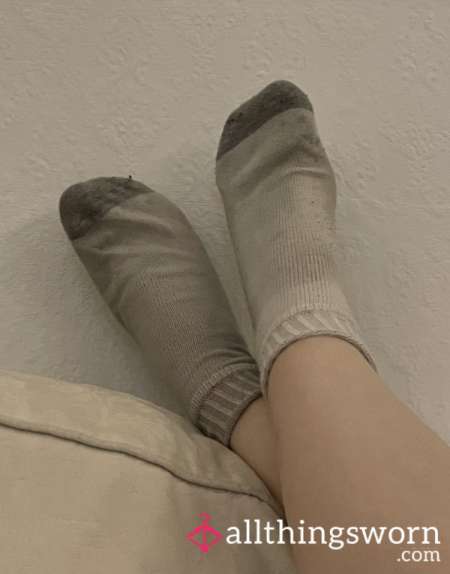 Bon chien bouffeurs de chaussettes sales pour dom