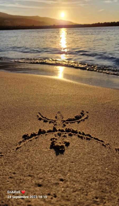 Je cherche une femme