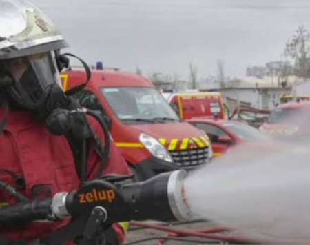 Étalon Volage Sauvage