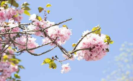 HOMME cinquantaine pour FEMME passionnée