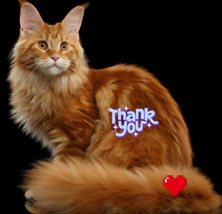 POUR MONSIEUR D'ÂGE MUR SUR RDV