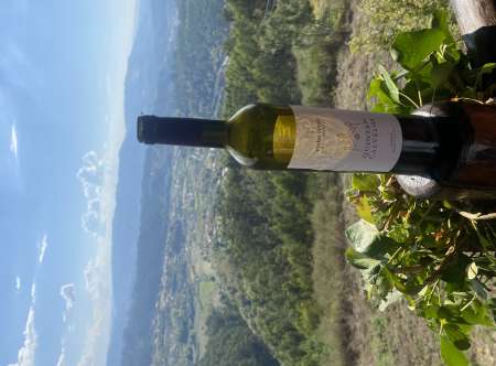 Portugais Seine et Marne