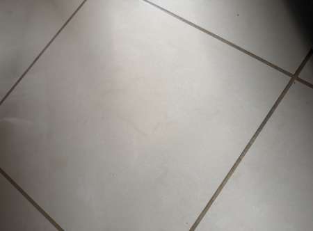 Cherche une queue à sucer