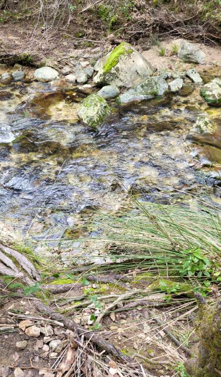 Rencontre concernant uniquement les femmes