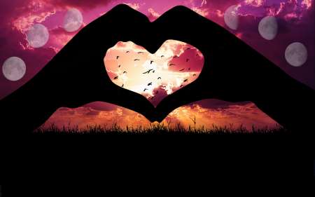 Zoreil recherche sa cafrine ou malbaraise de coeur