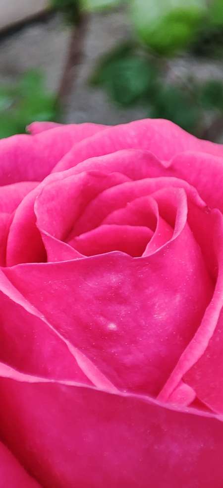 Rencontre une femme sérieuse