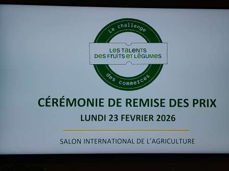 Massage pour femme avec cunni