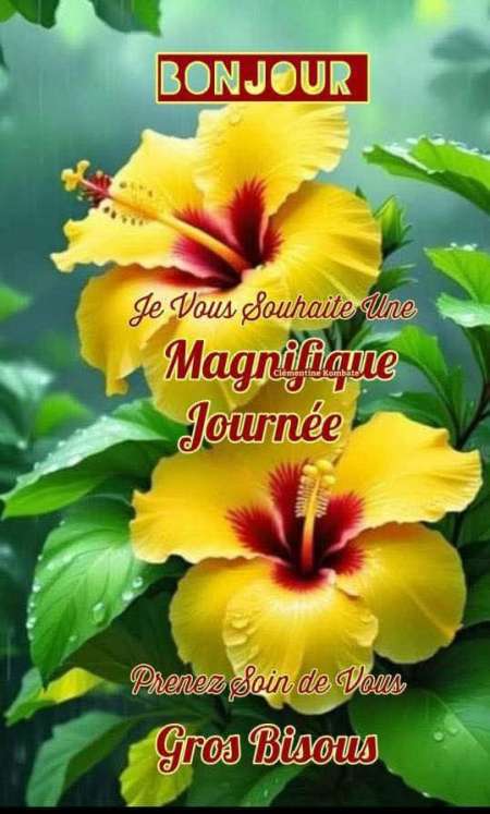 Rencontrer des femmes pour du bonheur et le plaisi