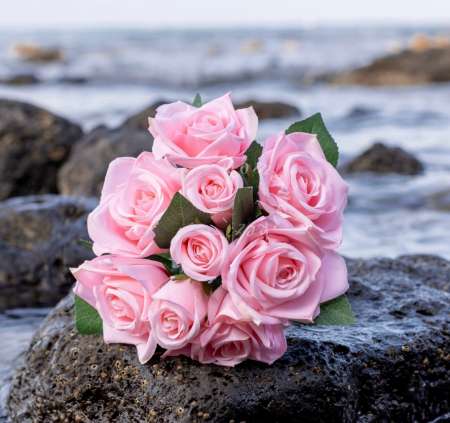 Gentleman éduqué sportif ch JF / F relation durabl