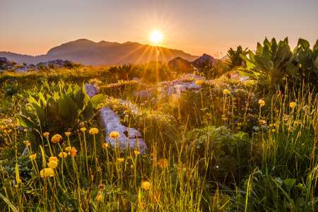 H courtois pour une relation suivie avec une F