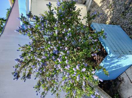 Amitiés avec femmes plus de 60ans