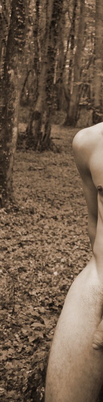 Randonnée nue en foret