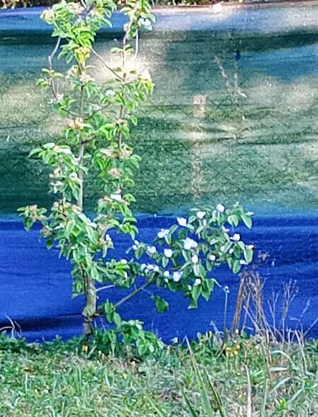 Cherche coquine en Drôme des collines