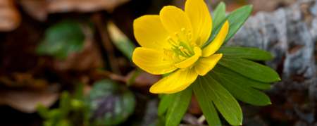 H 50aine gentil chch F de caractere