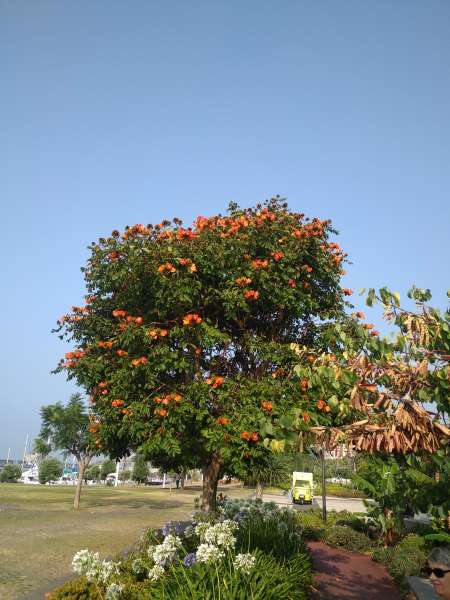 Homme fait don de son sperme a une femme désirant