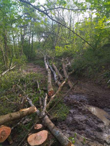 Don de sperme pour femme désirant un enfant