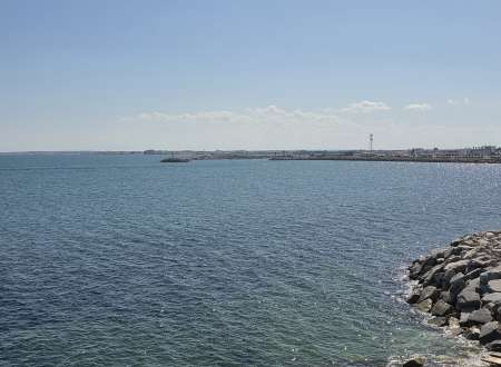 Homme a votre service