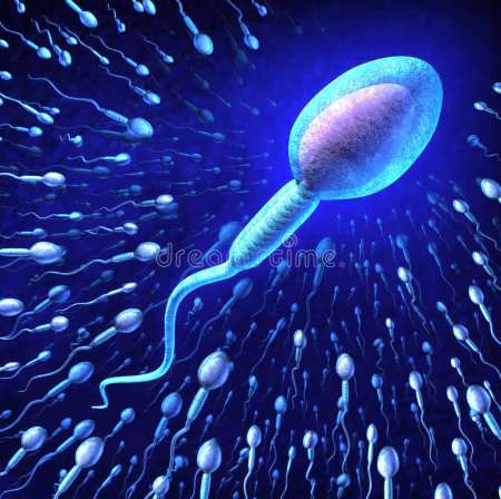 Marseillais donneur spermatozoides aux lesbiennes